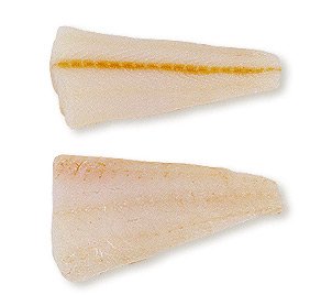 codfish