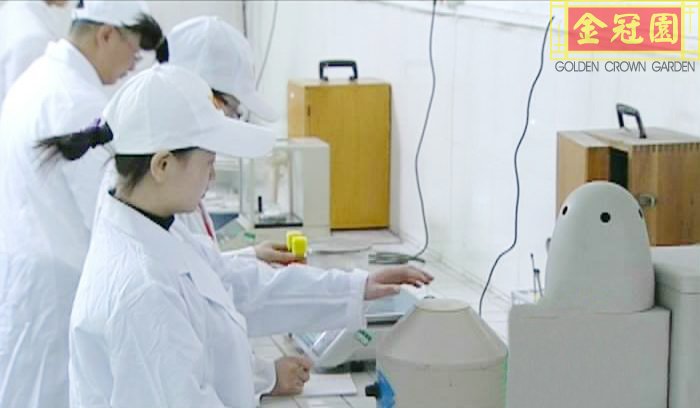 R&D Team 2.jpg