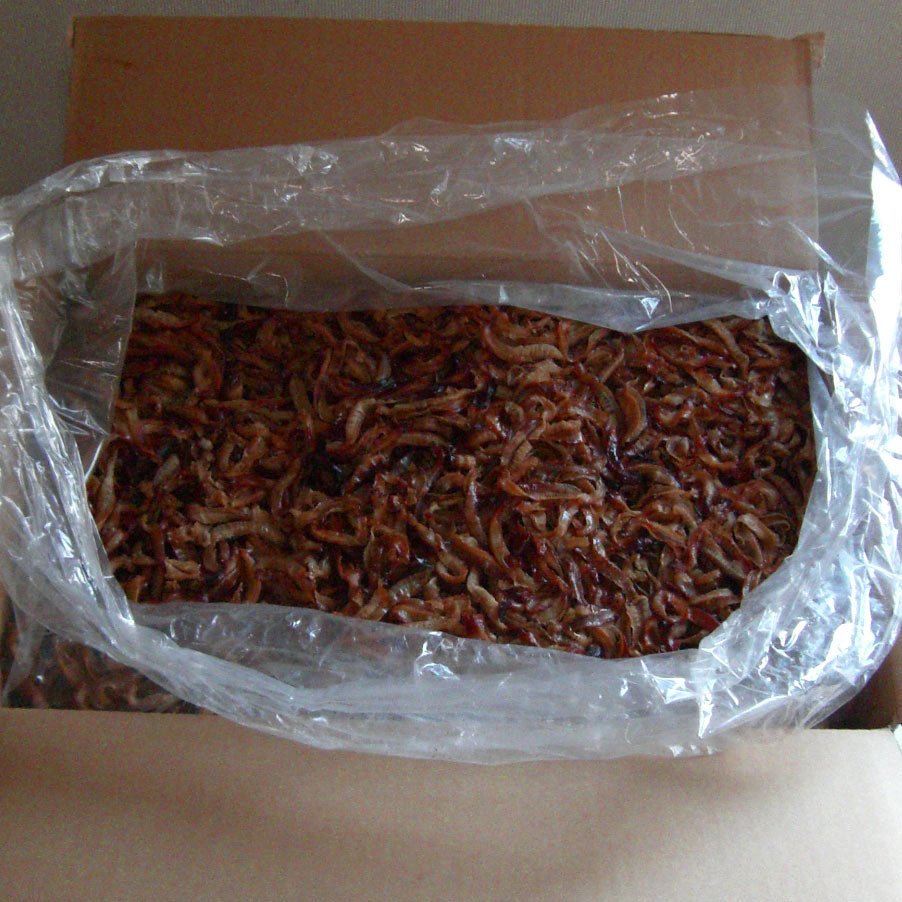 hotatekaihimo_inner2.jpg