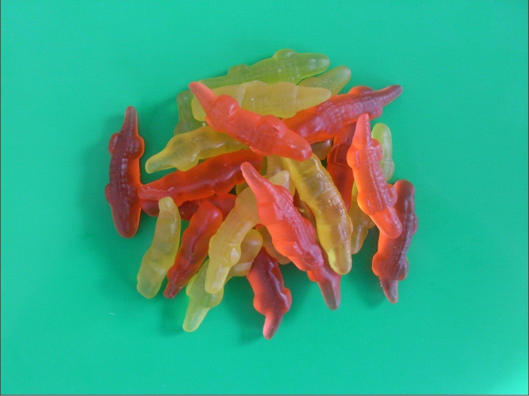 crododile gummy candy.jpg