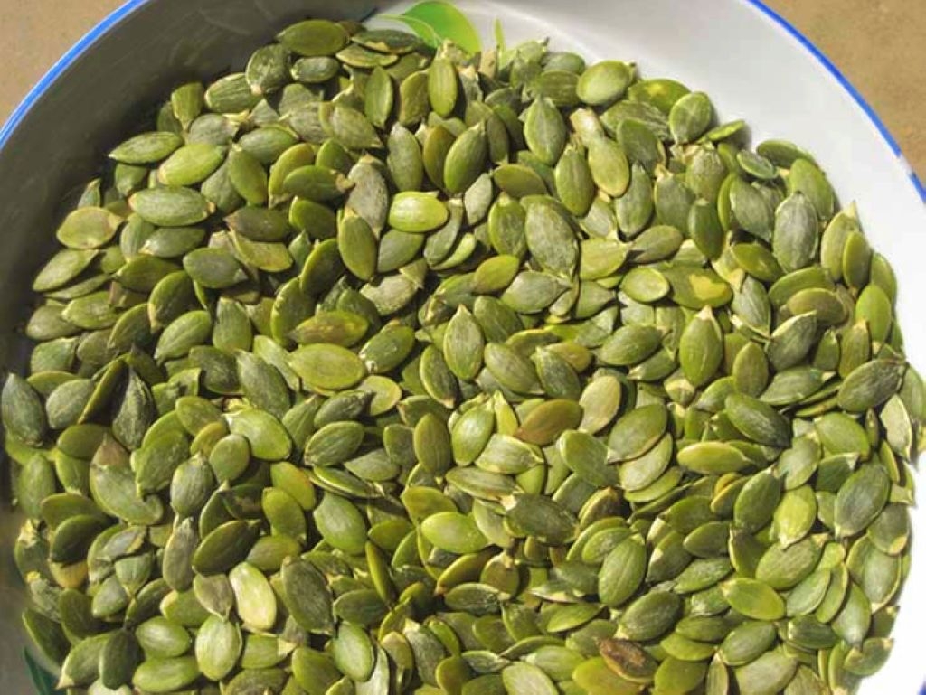 green pumpkin seed kernels.jpg