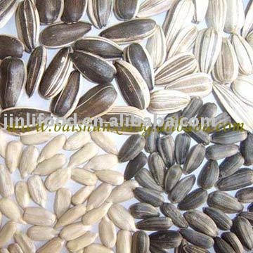 Sell_sunflower_seeds.jpg