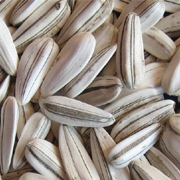 white strip sunflower seed-3.jpg