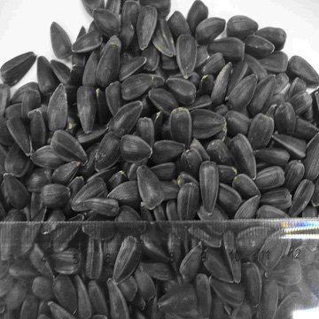 oil sunflower seed.jpg