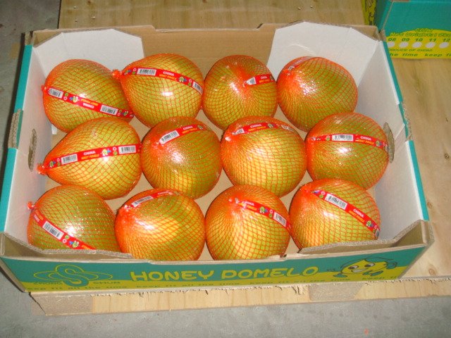 DSC04224.JPG
