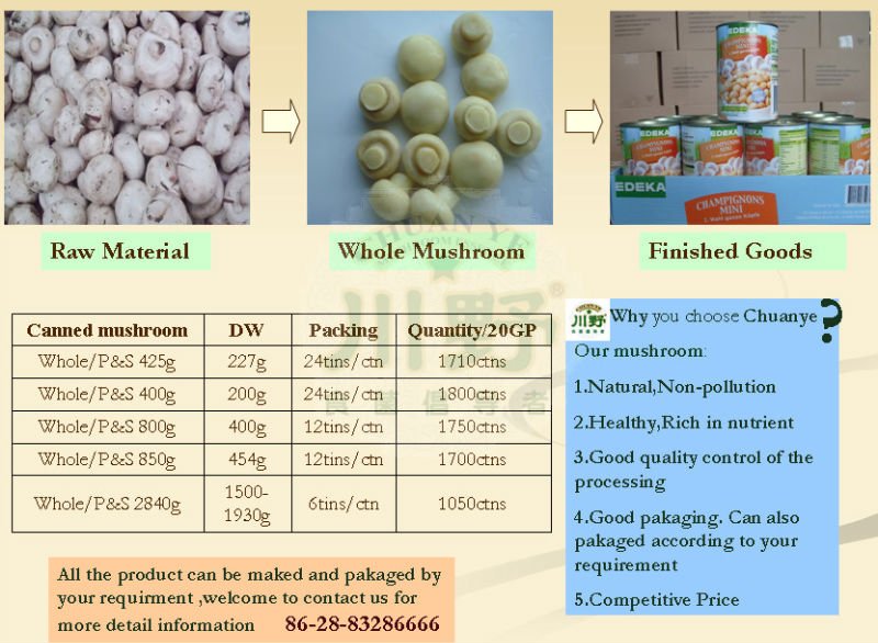 canned mushroom
