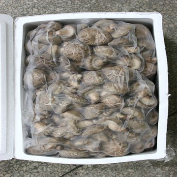 flower shiitake1