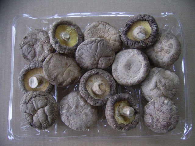 cap5-6.JPG