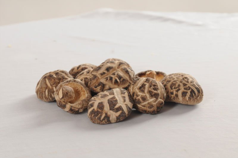 Tee flower shiitake.jpg