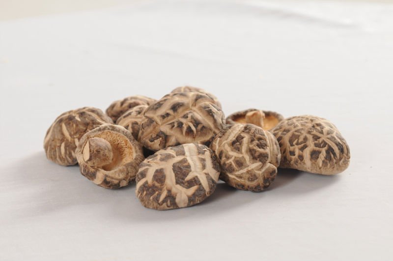 Tee flower shiitake 2.jpg