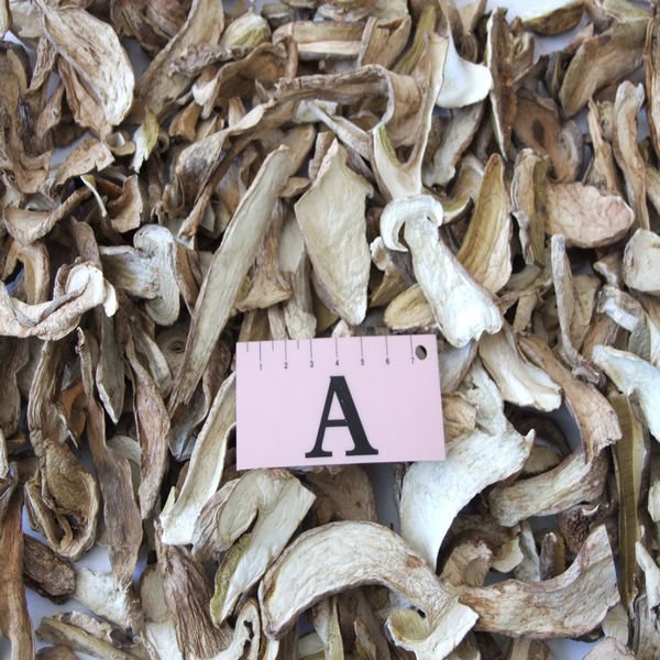 A.JPG