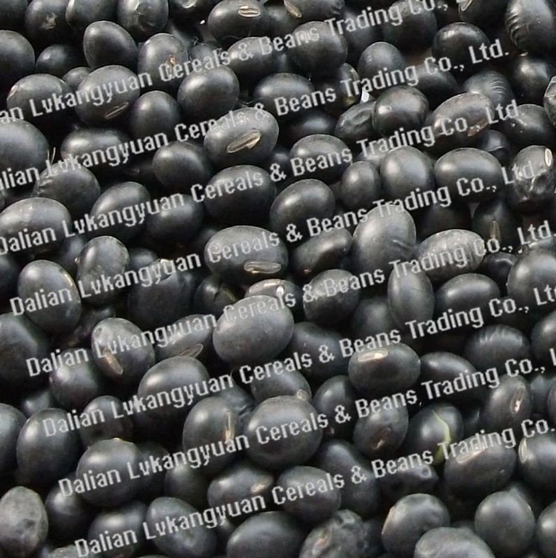 Green  kernels-2.jpg