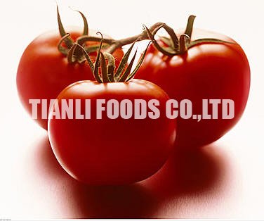 tomato pp 2.jpg