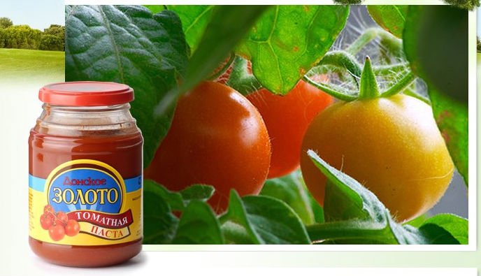 tomato paste 22