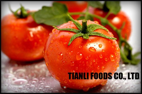 tomato-1.jpg