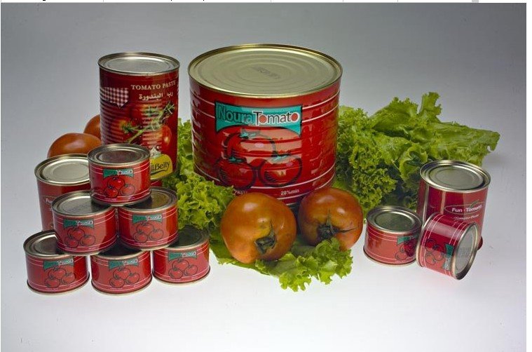 tomato paste