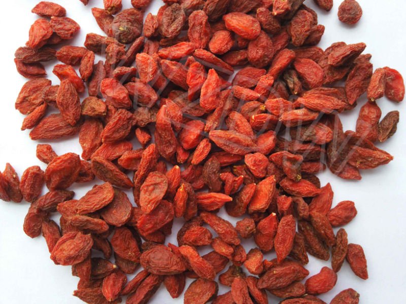 goji.jpg