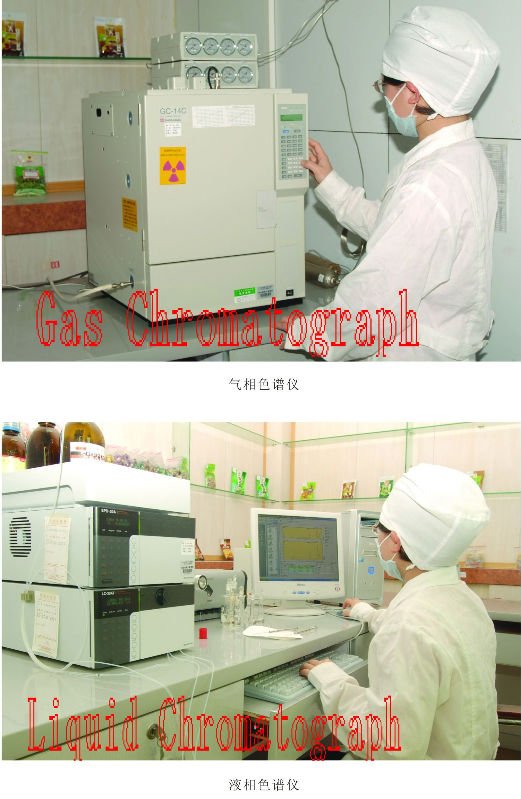 Liquid Chromatograph and Gas Chromatograph.jpg