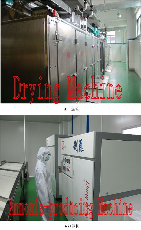 Drying Machine and Ammonia Producing Machine.jpg