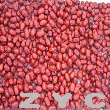 200971714525411356_conew1.jpg
