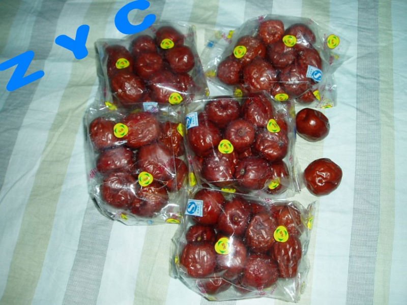 87966a8e-c17c-4ff5-9ec3-14663eeb6e97_conew2.jpg