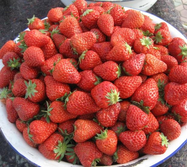 strawberry.-1jpg.jpg