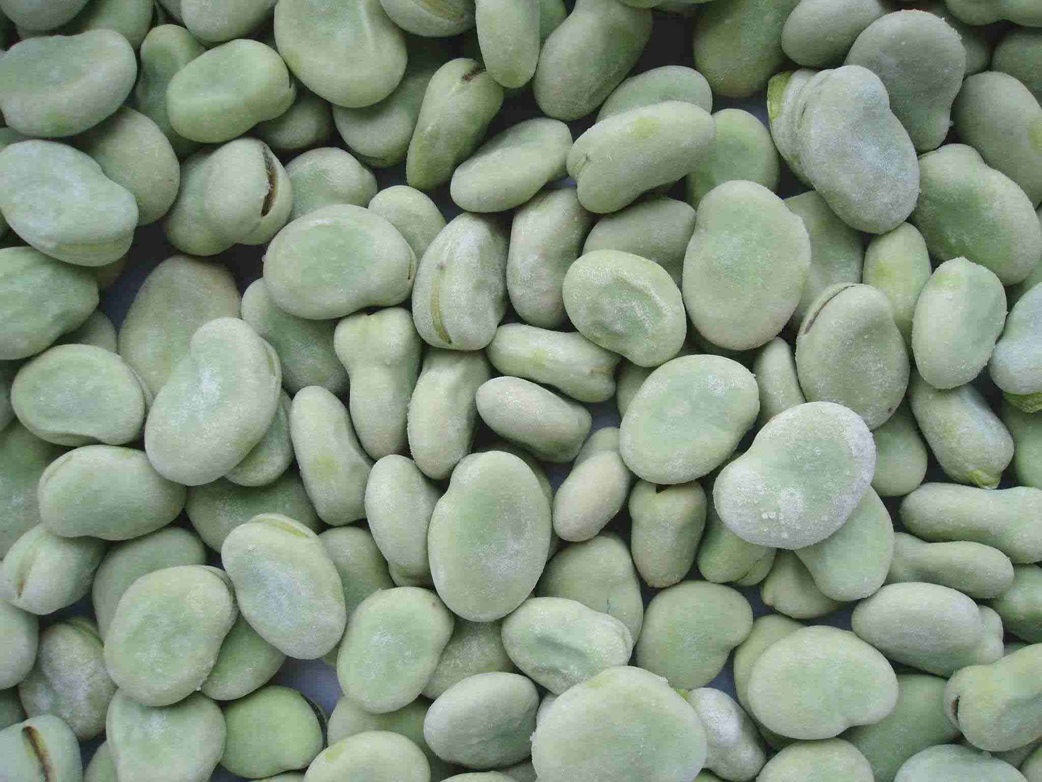 frozen broad bean.