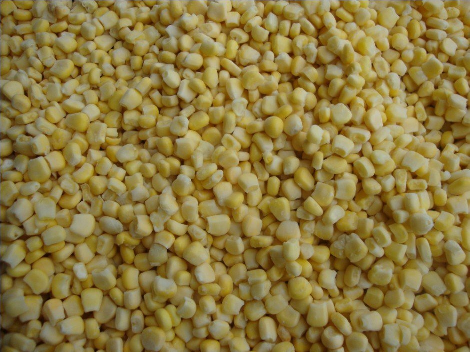 sweet corn 1.jpg