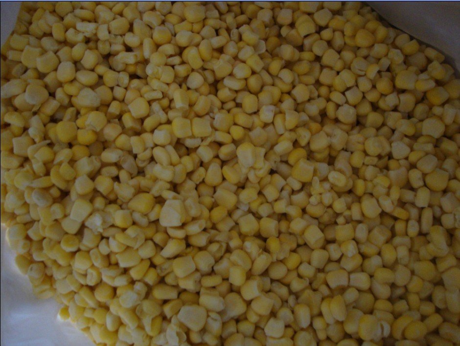 sweet corn 4.jpg