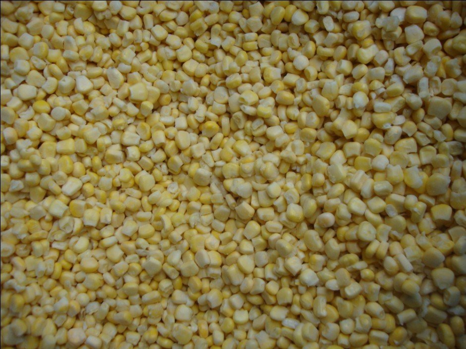 sweet corn 3.jpg
