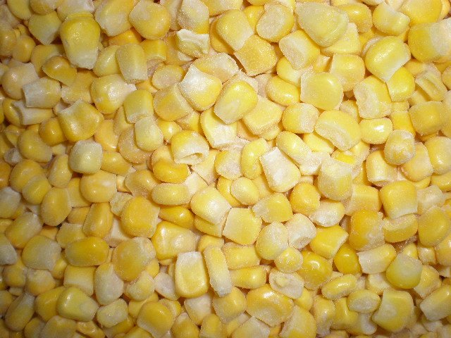 sweet corn grade A.JPG