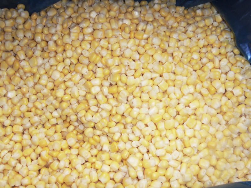 sweet corn kernel.JPG