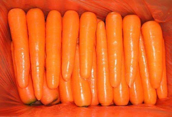 freshcarrot