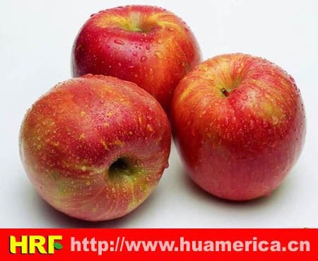 apple1.jpg