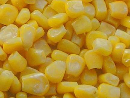 frozen sweet corn grains.jpg
