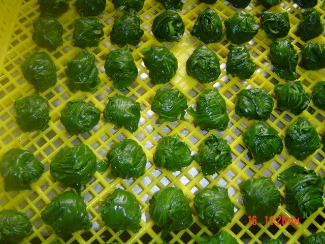 DSC02059[spinach globle].JPG