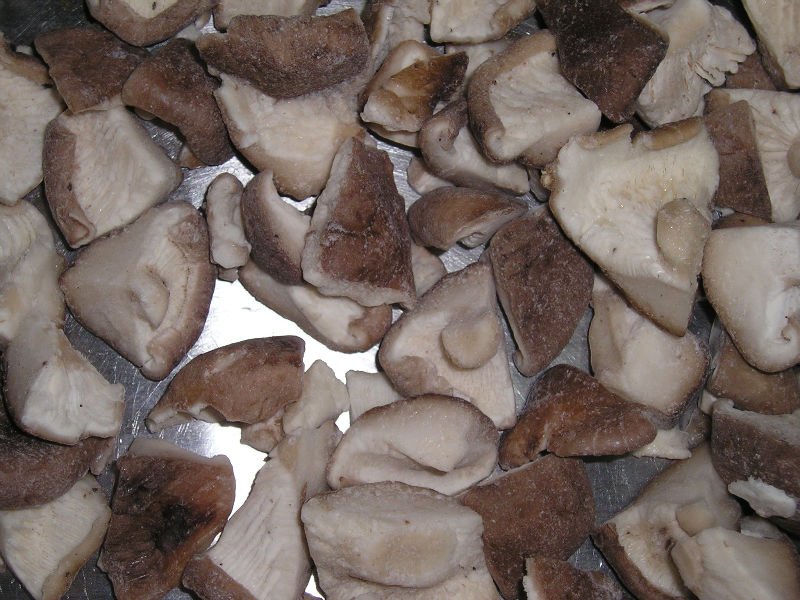 P1010002.JPG