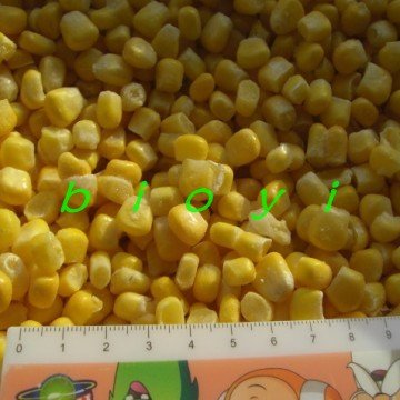 conew_(4)_conew1.jpg