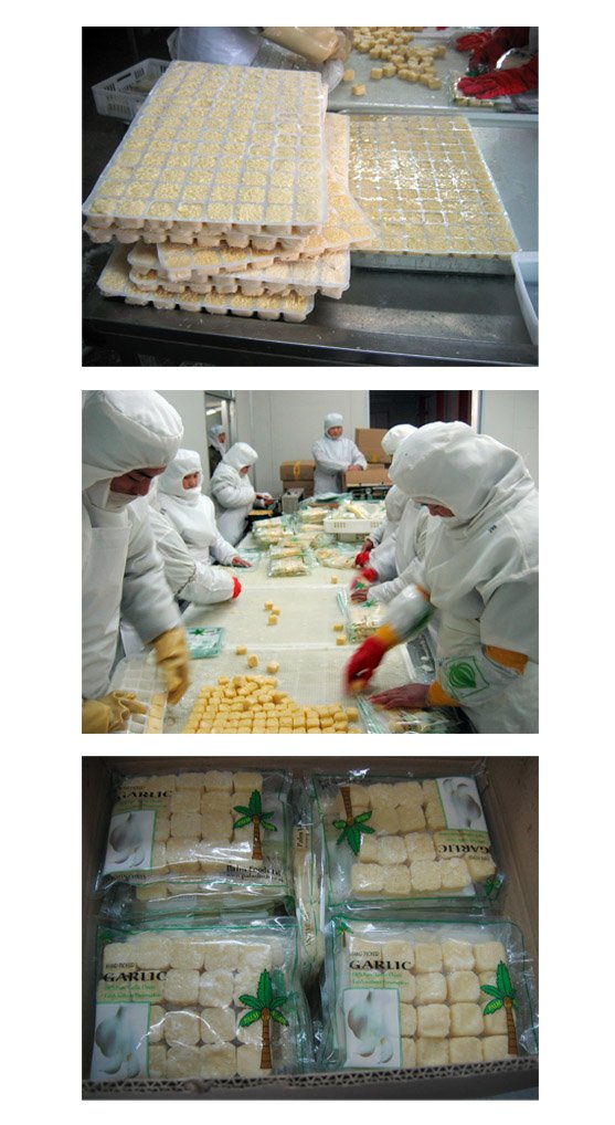 IQF garlic paste 2.jpg
