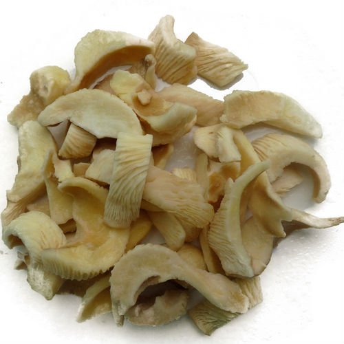 ABALONE MUSHROOM