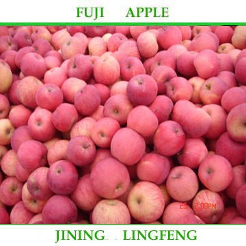 fujiapple 5