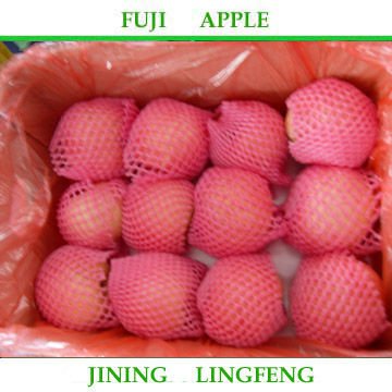 fujiapple 8jpg