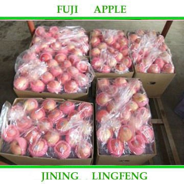 fujiapple20.jpg