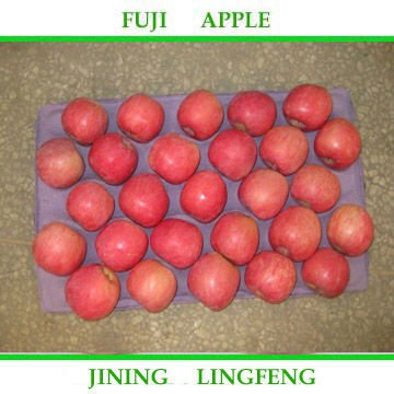 fujiapple19.jpg