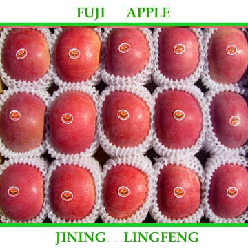 fujiapple 4.jpg