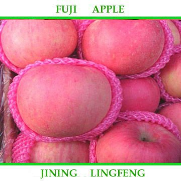fujiapple 18.jpg