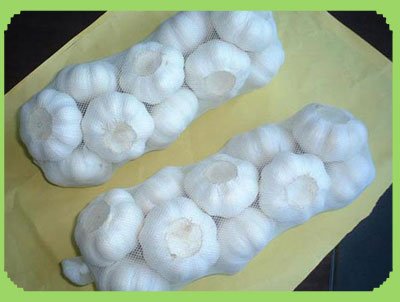 2garlic