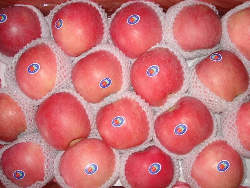 Fresh Apple 09.JPG