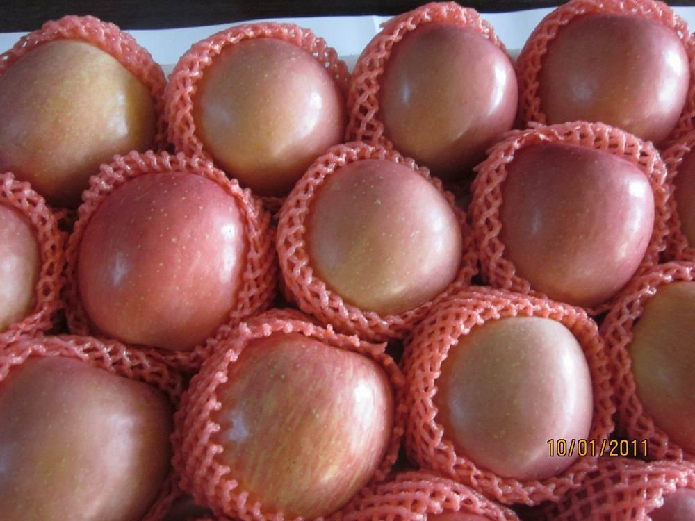 Fresh Apple08.jpg