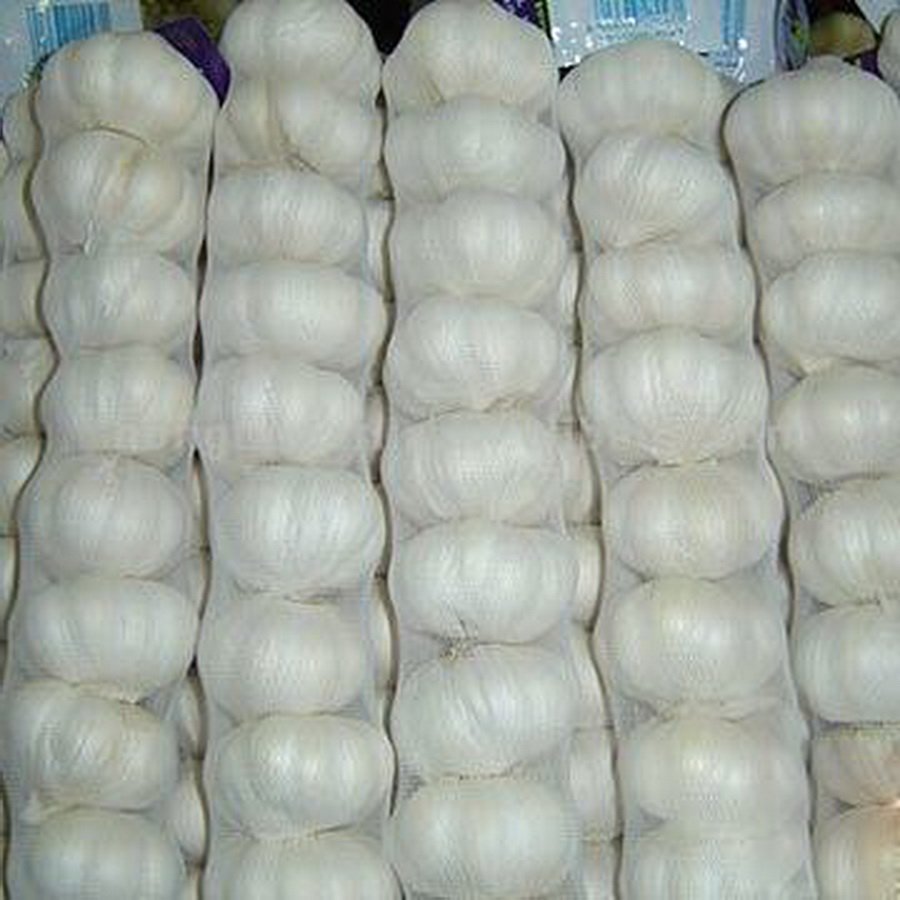 pure white8P.jpg